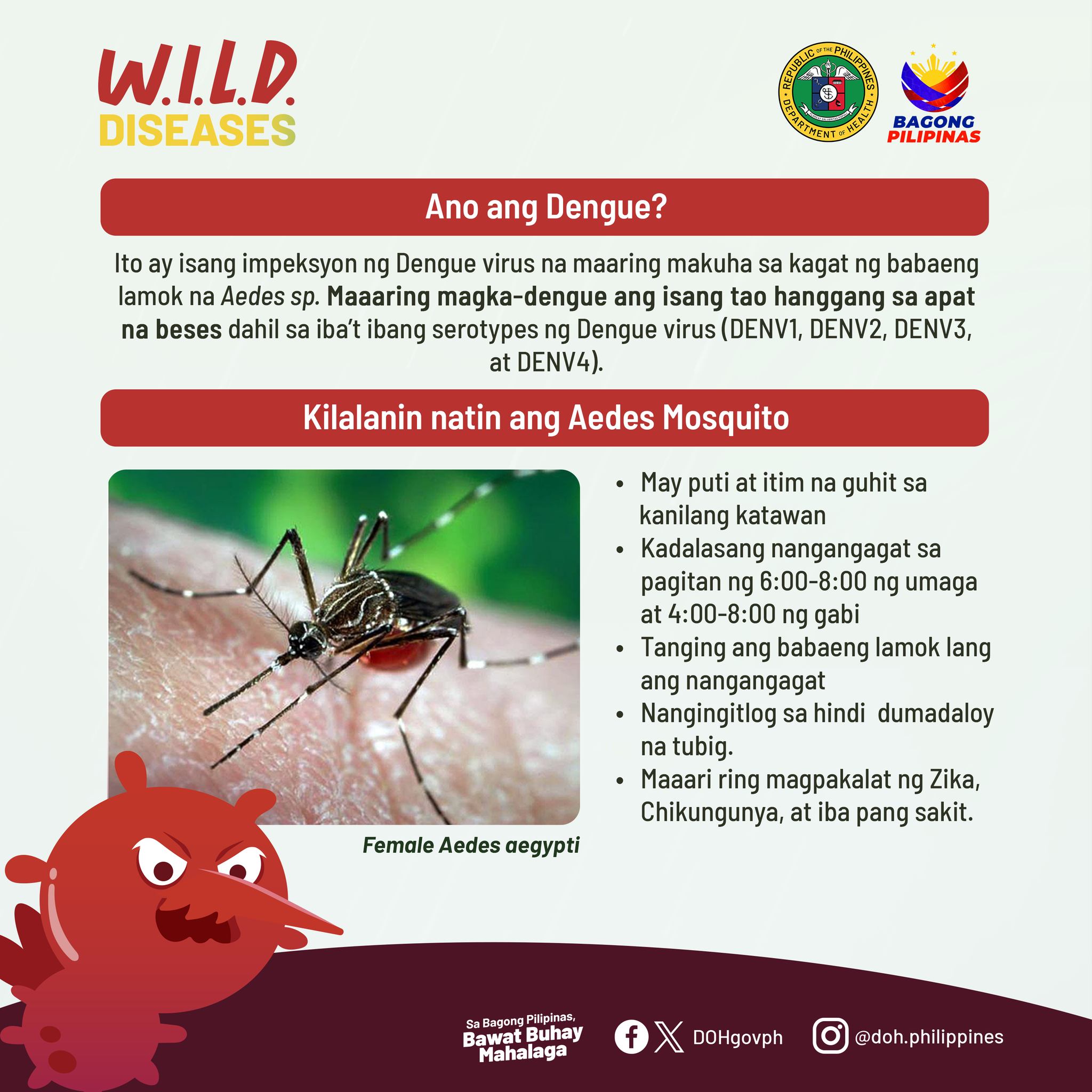 Ano ang Dengue